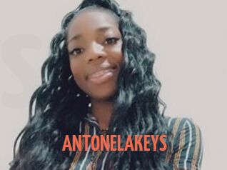 ANTONELAKEYS