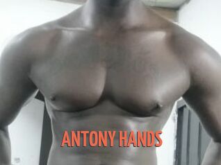 ANTONY_HANDS