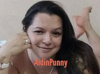 AidinPunny