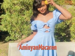 AminyanMacaron