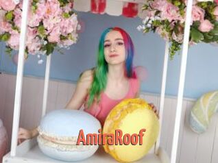 AmiraRoof