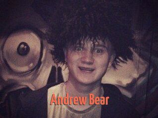 Andrew_Bear