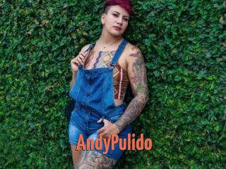 AndyPulido