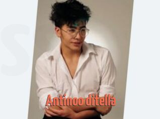 Antinoo_ditella
