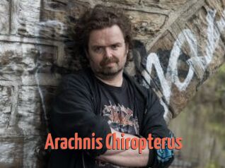 Arachnis_Chiropterus