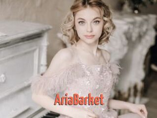 AriaBarket