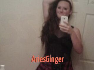 AriesGinger
