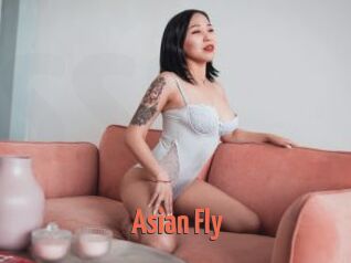 Asian_Fly