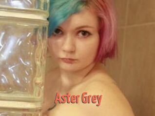 Aster_Grey