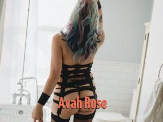 Avah_Rose