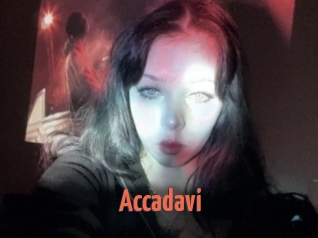 Accadavi