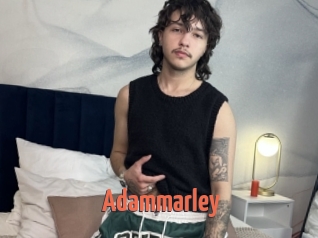 Adammarley