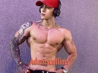 Adamscollims