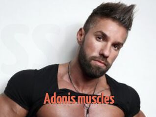 Adonis_muscles