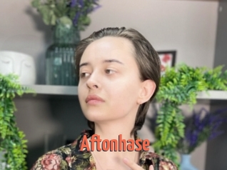 Aftonhase