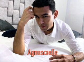 Agnuscaelie