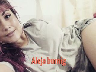 Aleja_burnig