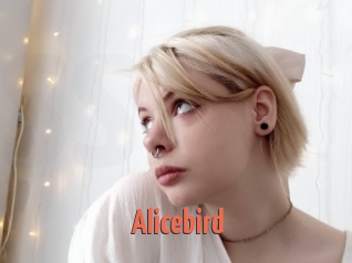 Alicebird