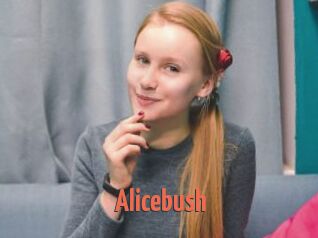 Alicebush