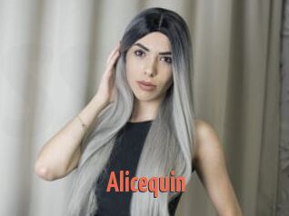 Alicequin