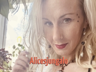 Alicesjungalo