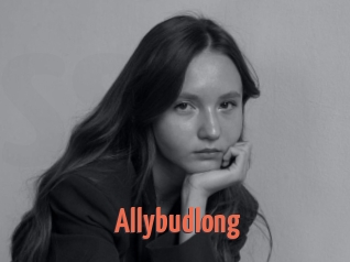 Allybudlong