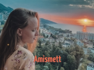 Amismett