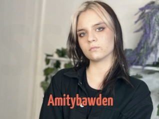 Amitybawden