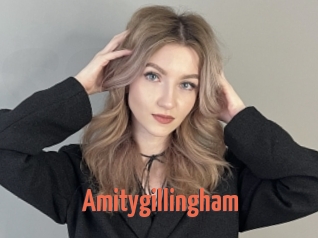 Amitygillingham