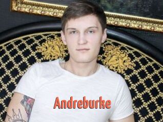 Andreburke