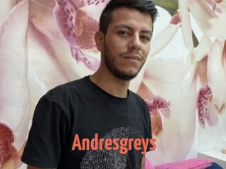 Andresgreys