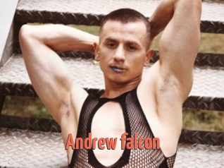 Andrew_falcon
