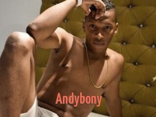 Andybony