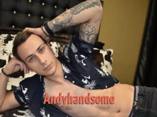 Andyhandsome