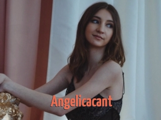 Angelicacant