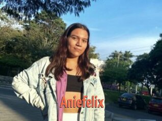 Aniefelix