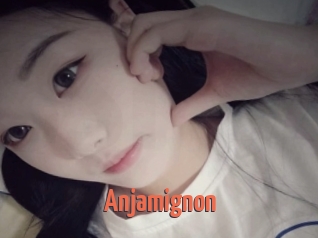 Anjamignon