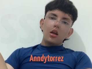 Anndytorrez