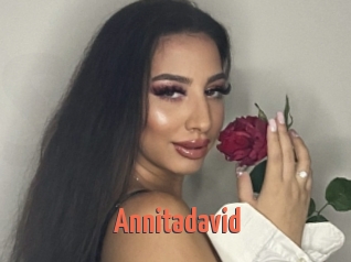 Annitadavid