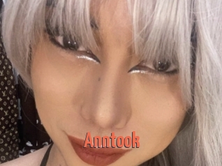 Anntook