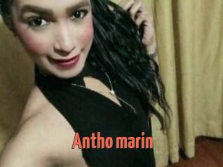 Antho_marin