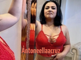 Antoneellaacruz