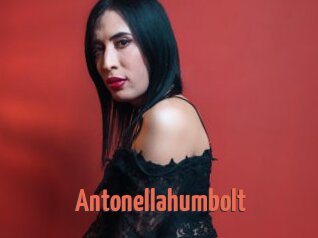 Antonellahumbolt