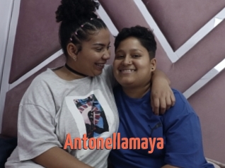 Antonellamaya