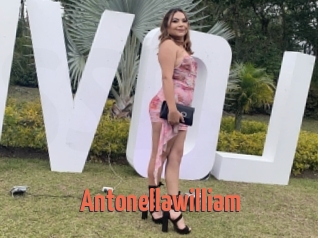 Antonellawilliam