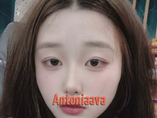 Antoniaava