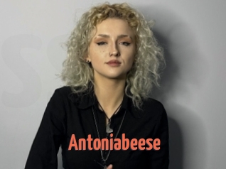 Antoniabeese
