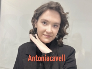 Antoniacavell