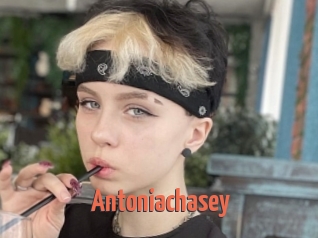 Antoniachasey