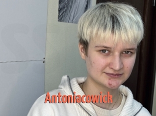 Antoniacowick
